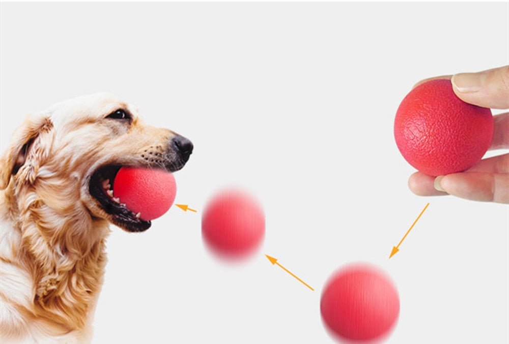 Multifunction Pet Molar Bite Toys | Multifunction Dog Molar Bite Toys image 18