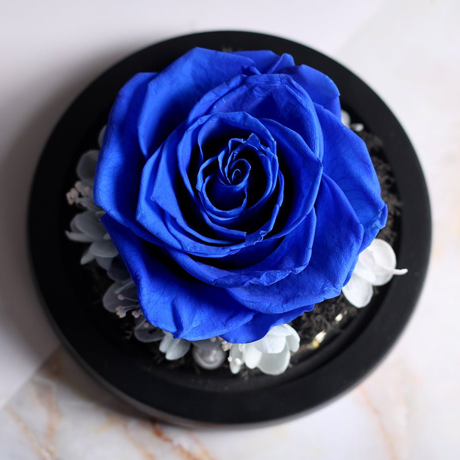 The Beauty and Beast Forever Rose Flower With Night Light in Glass Dome image 48