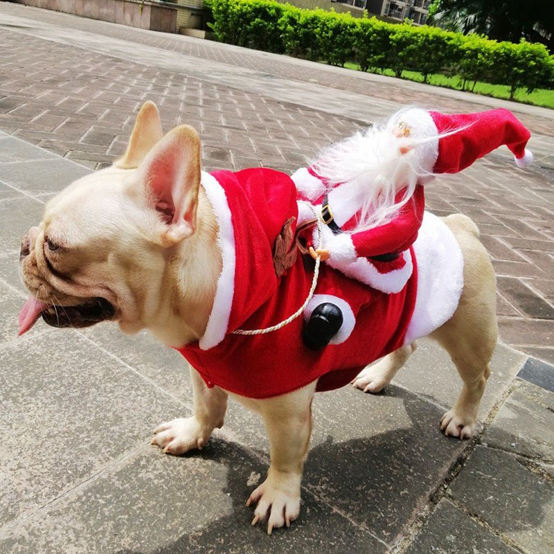 Christmas Dog Santa Cosplay Outfit | Carnival Pet Costumes Apparel image 2