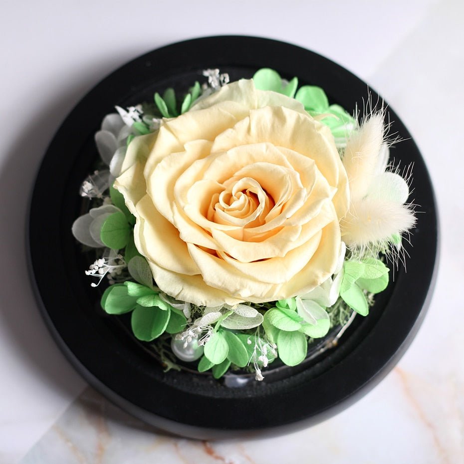 The Beauty and Beast Forever Rose Flower With Night Light in Glass Dome image 6