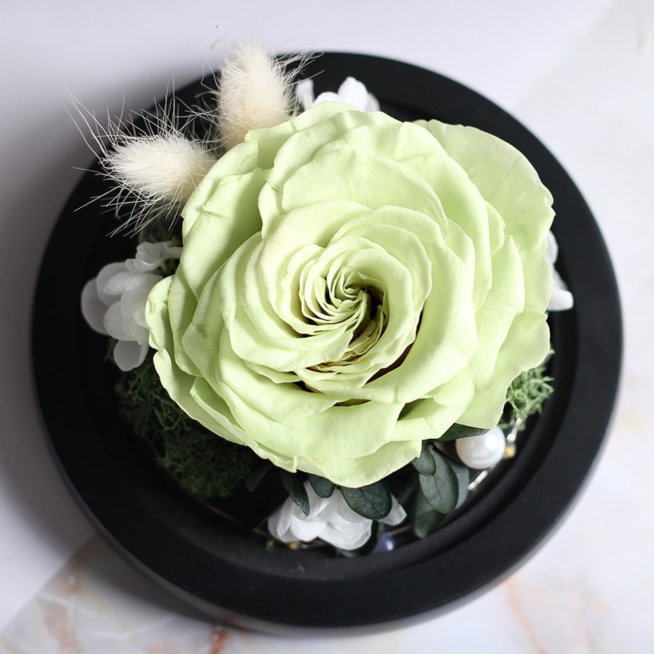 The Beauty and Beast Forever Rose Flower With Night Light in Glass Dome image 42