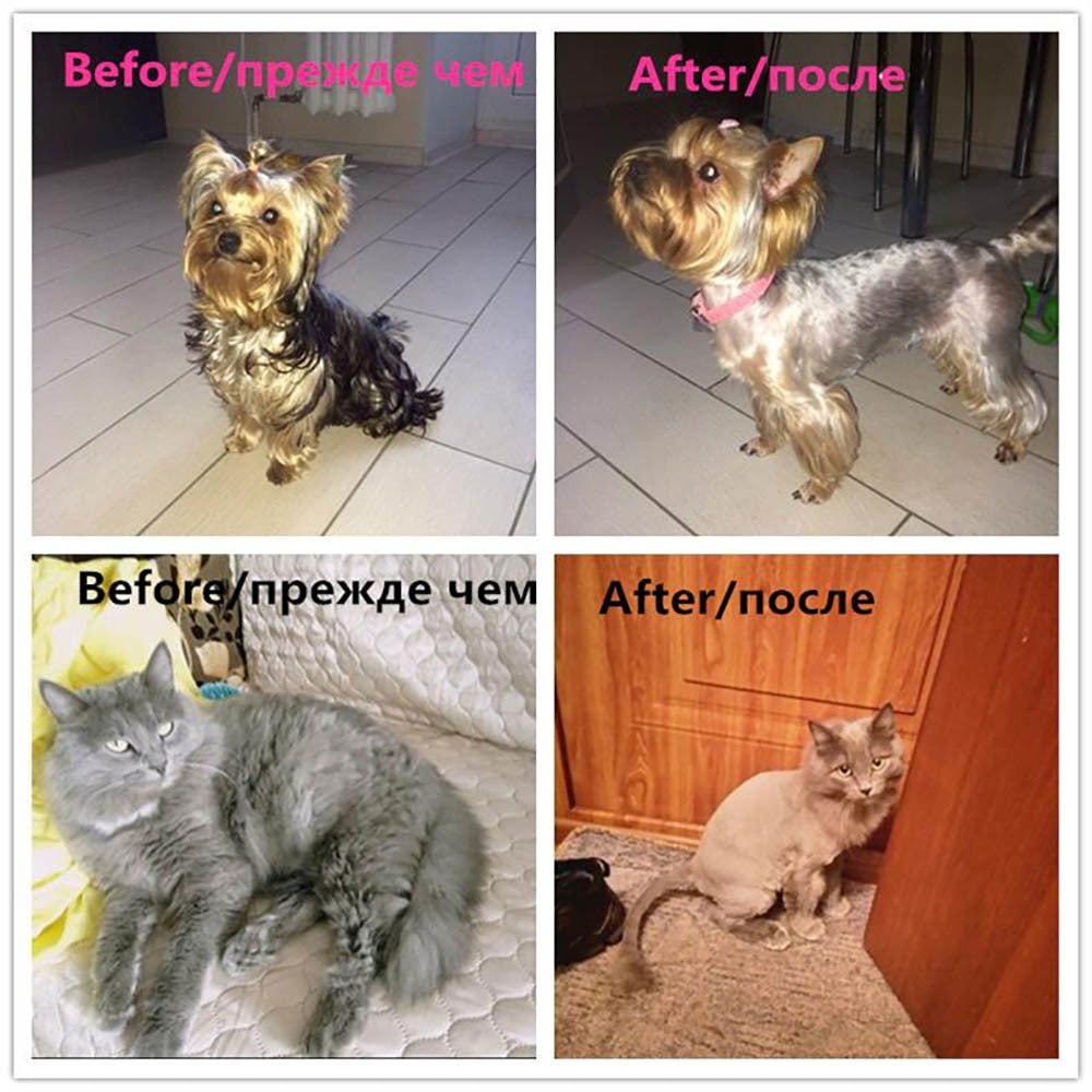 Baorun Professional Dog and Cat Hair Clipper Trimmer image 20