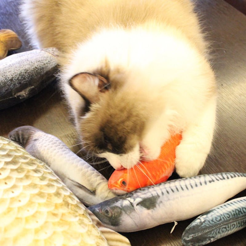 Pet interactive Toy | Cat Interactive Fish Toy image 15