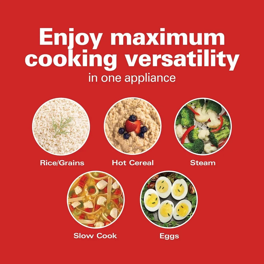 Digital Programmable Rice Cooker & Food Steamer ‚Äì 6-Cup Capacity with Slow Cook & Egg Functions image 2