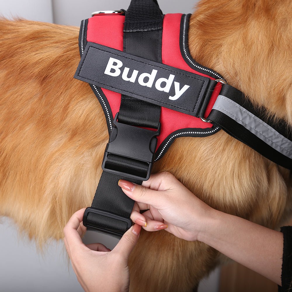 Breathable and Adjustable Reflective Dog Harness image 25