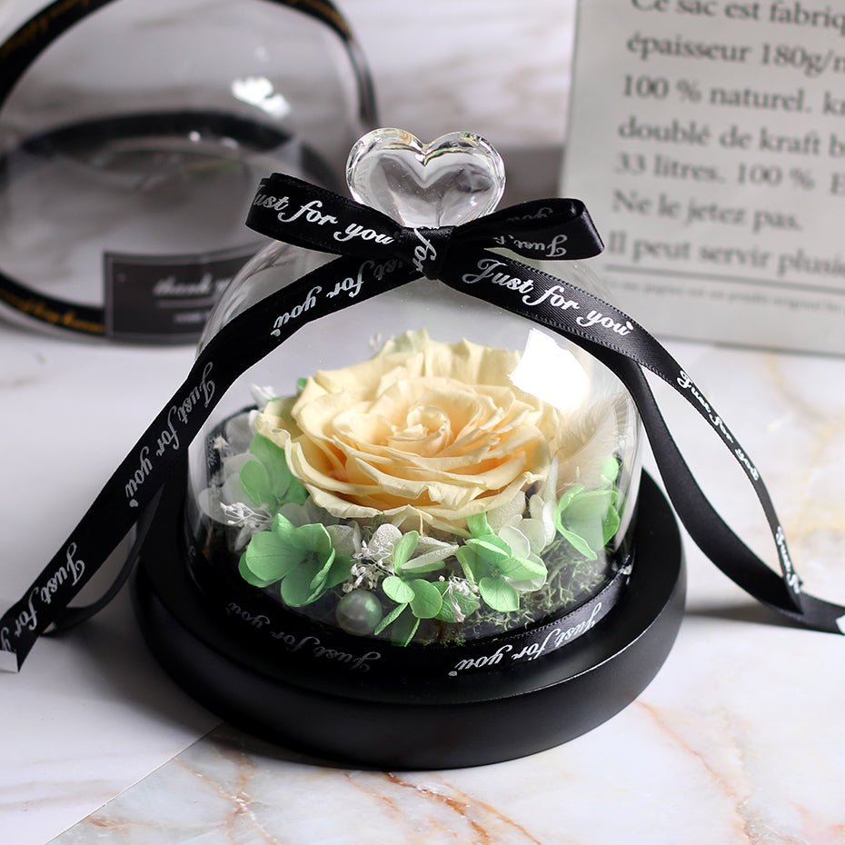 The Beauty and Beast Forever Rose Flower With Night Light in Glass Dome image 52