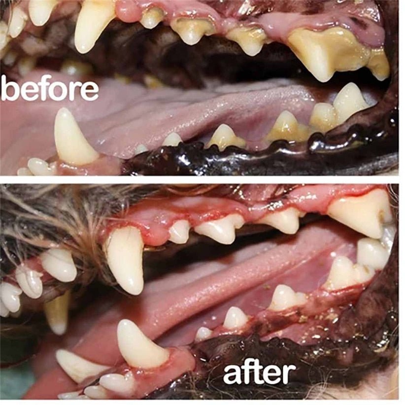 Pet Breath Freshener and Mouthwash Cleaning Spray image 0