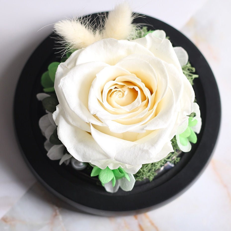 The Beauty and Beast Forever Rose Flower With Night Light in Glass Dome image 9
