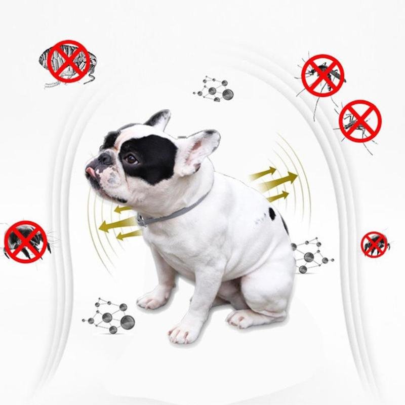 Electric Flea Comb For Dogs, Cats and other Pets image 18