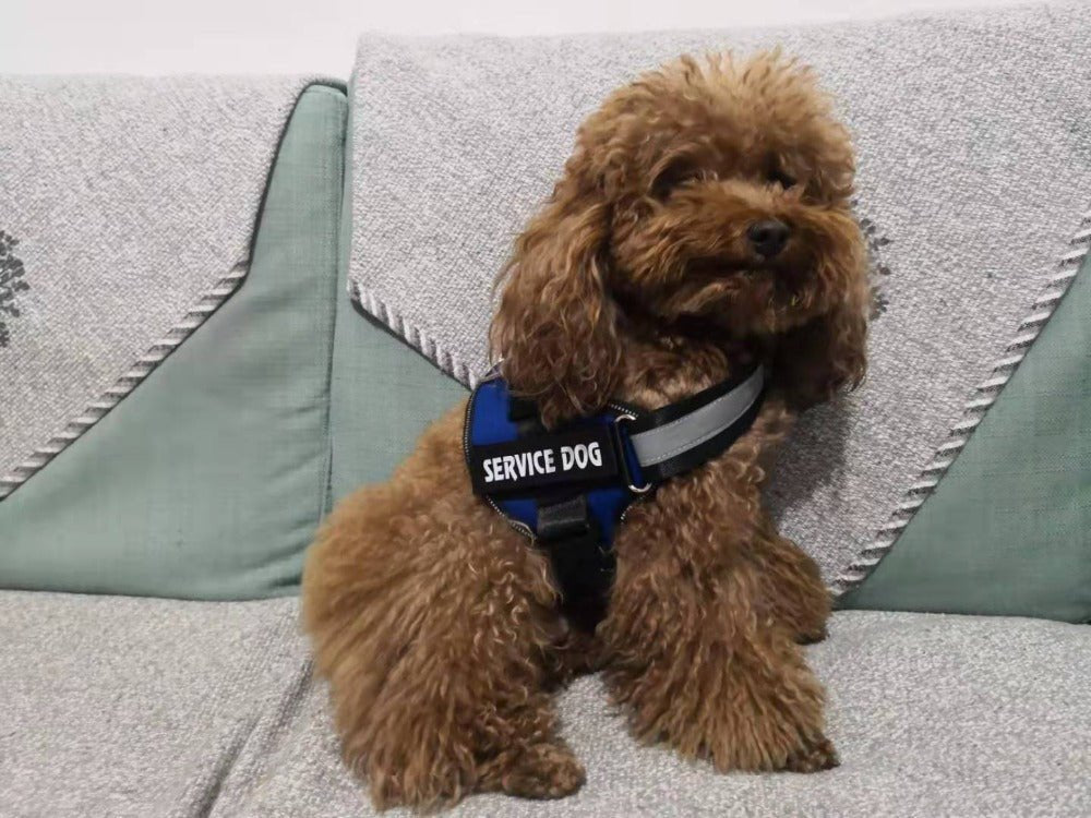 Breathable and Adjustable Reflective Dog Harness image 19