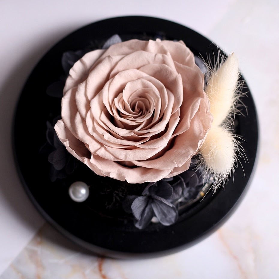 The Beauty and Beast Forever Rose Flower With Night Light in Glass Dome image 18