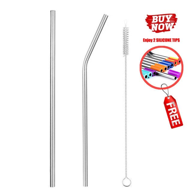 Colorful Reusable Stainless Steel Drinking Straw With Cleaning Brush - Sliver 2pcs image