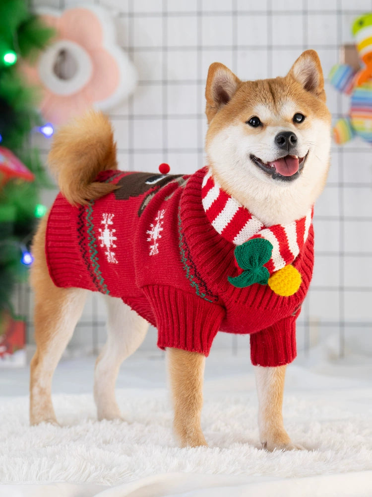 Cozy Winter Sweater for Small & Medium Dogs | Christmas Pet Clothes for Shiba Inu & Bulldogs image 1