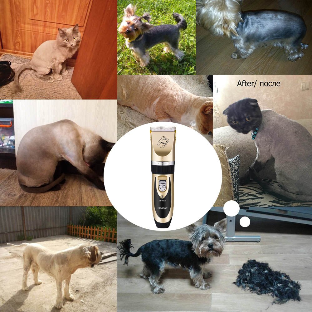 Baorun Professional Dog and Cat Hair Clipper Trimmer image 26