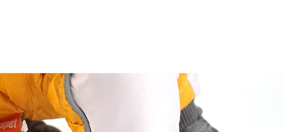 Winter Pet Dog Clothes | Super Warm Pet Waterproof Jacket image 7