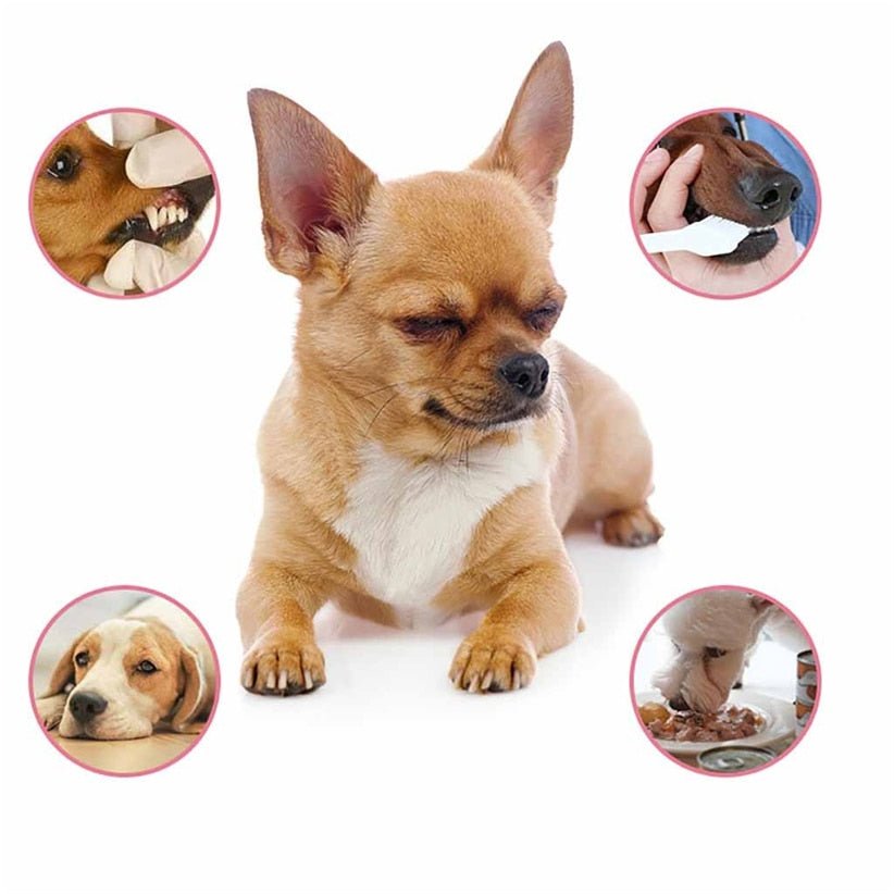 Pet Breath Freshener and Mouthwash Cleaning Spray image 2