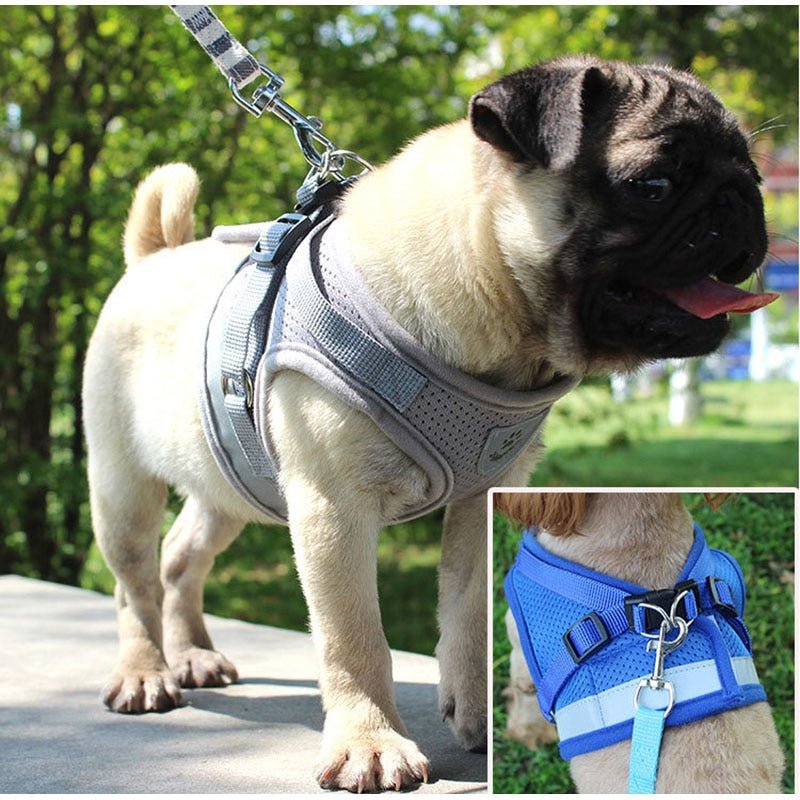 Adjustable Reflective Dog Vest Harness image 5