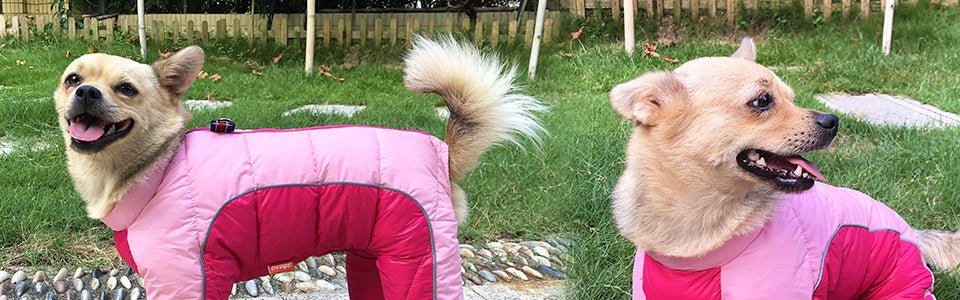 Winter Pet Dog Clothes | Super Warm Pet Waterproof Jacket image 27