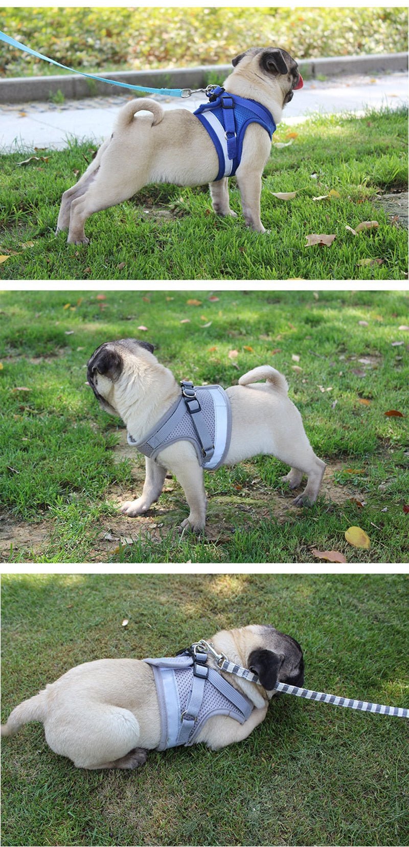 Adjustable Reflective Dog Vest Harness image 13