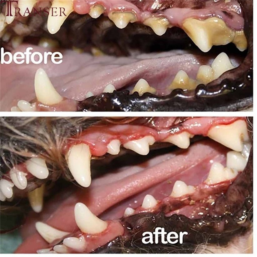 Pet Breath Freshener and Mouthwash Cleaning Spray image 7