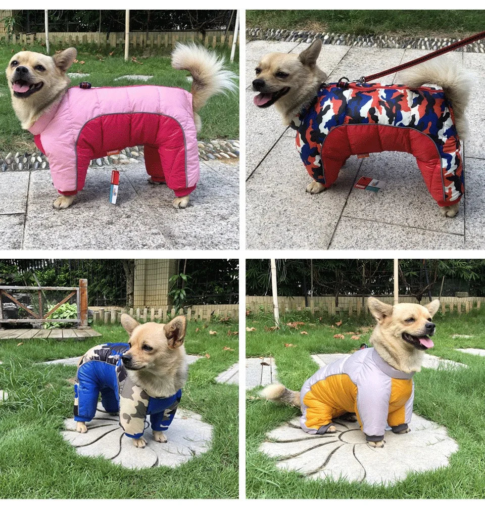 Winter Dog Clothes | Warm Cotton Apparel for Small Dogs image 15