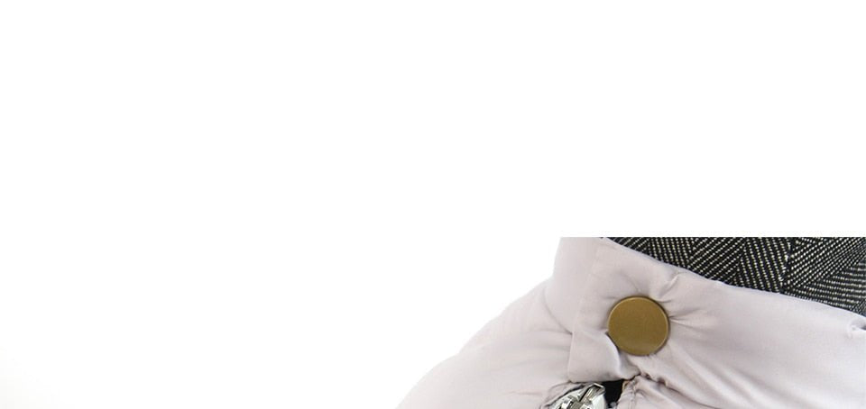 Winter Pet Dog Clothes | Super Warm Pet Waterproof Jacket image 8