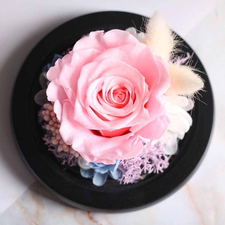 The Beauty and Beast Forever Rose Flower With Night Light in Glass Dome image 45