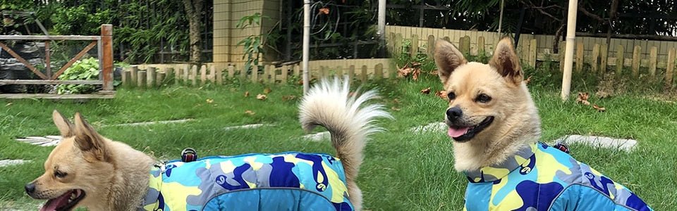 Winter Pet Dog Clothes | Super Warm Pet Waterproof Jacket image 34