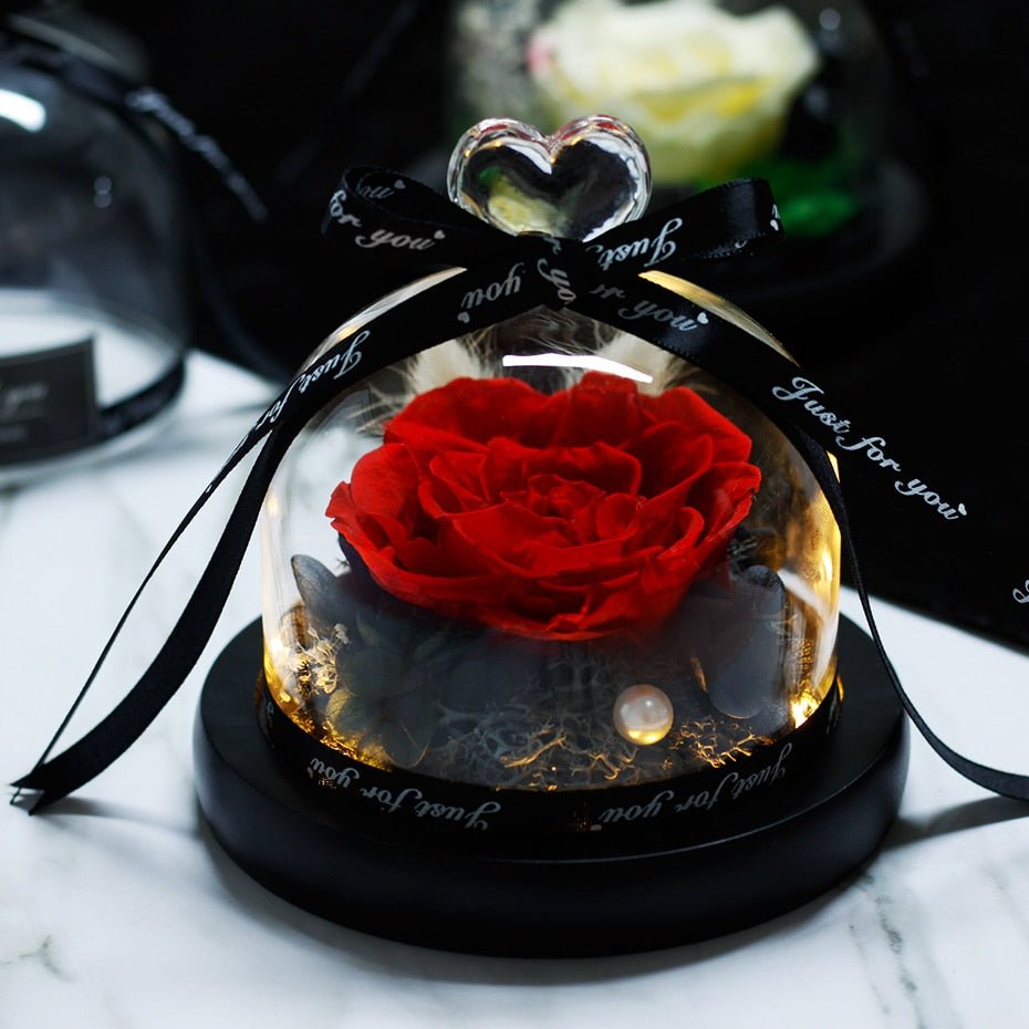 The Beauty and Beast Forever Rose Flower With Night Light in Glass Dome image 20