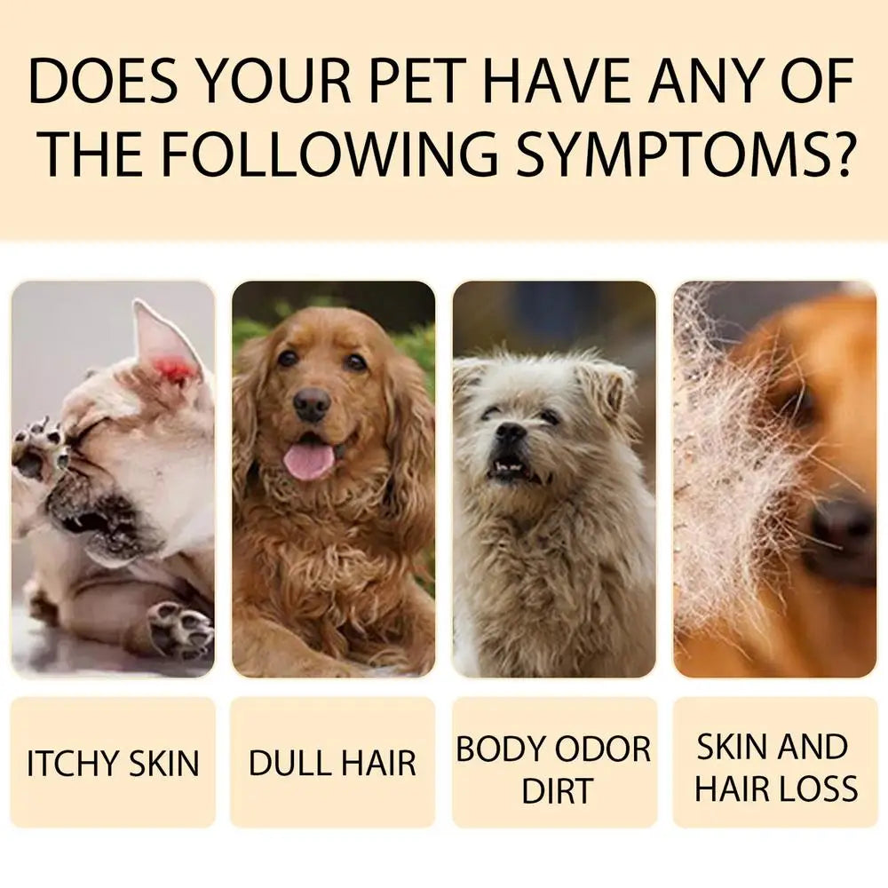 Pet Shampoo Dogs Stinky Shampoo 100ml Dog Body Wash Anti Mite Grooming Puppy Shampoo Flea Killer Pet Hair Softening Shampoo image 10