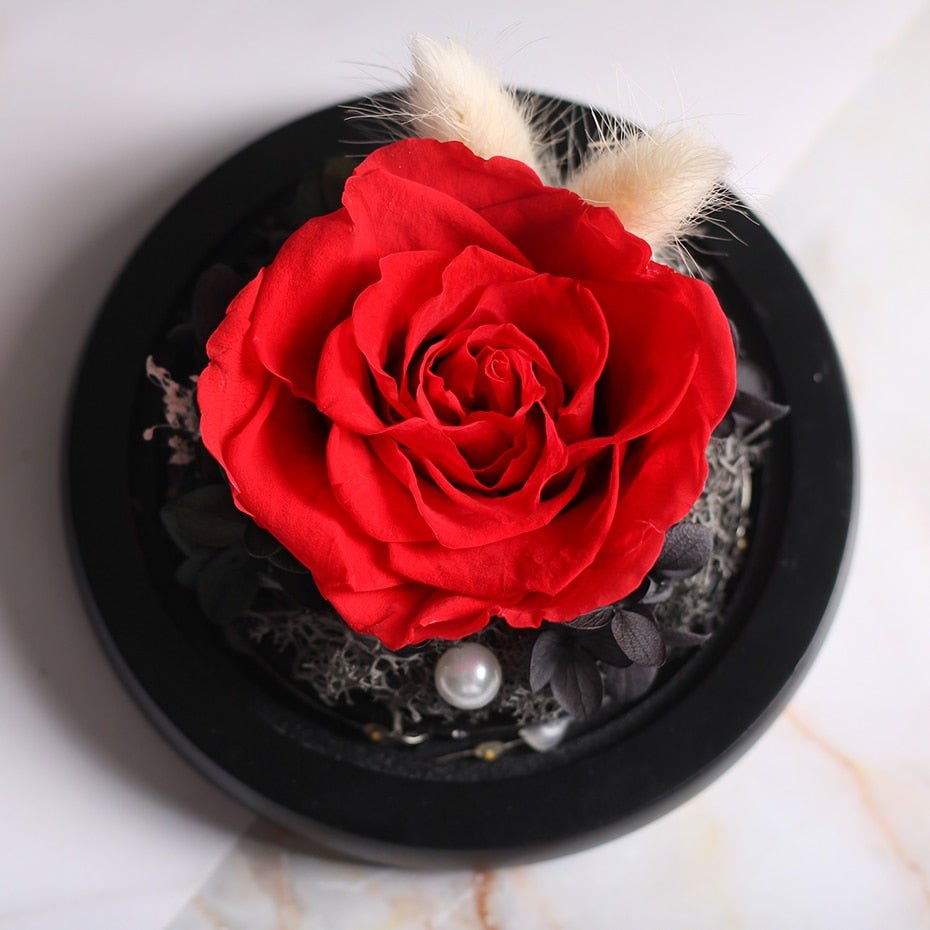 The Beauty and Beast Forever Rose Flower With Night Light in Glass Dome image 15