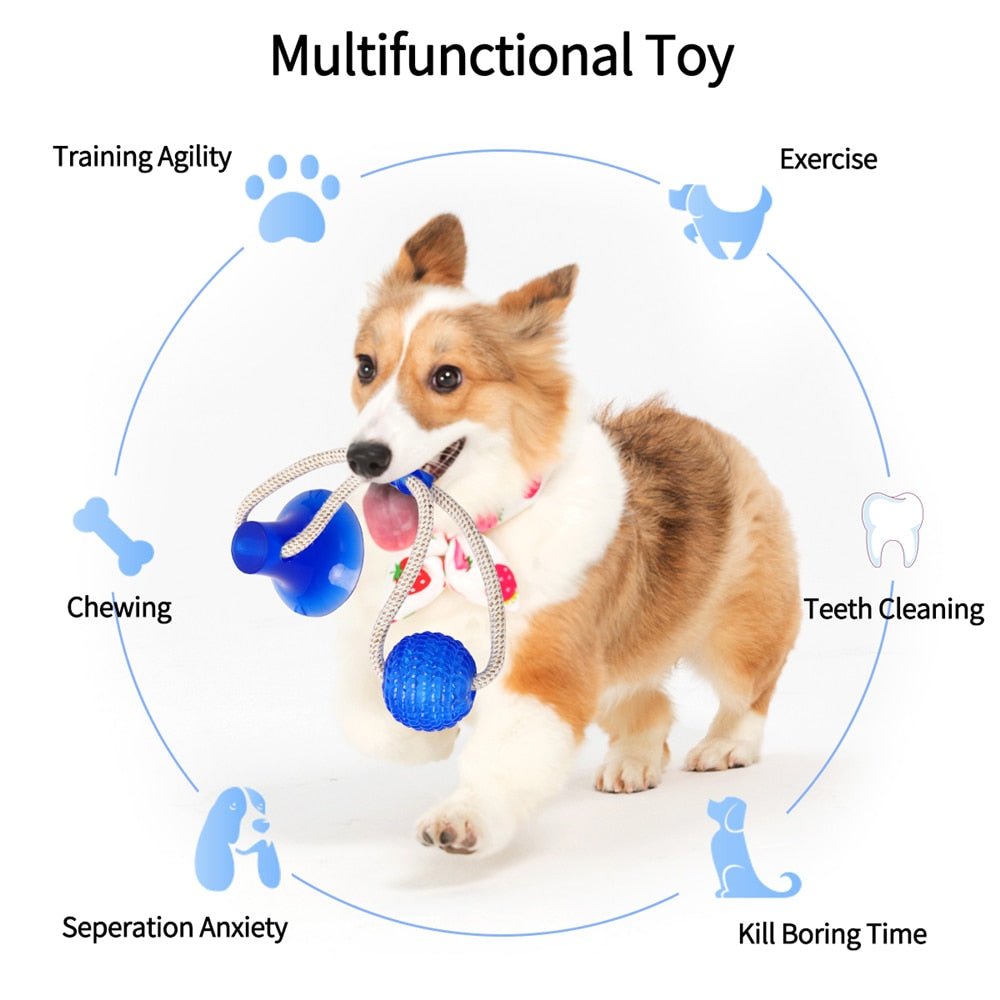 Multifunction Pet Molar Bite Toys | Multifunction Dog Molar Bite Toys image 1