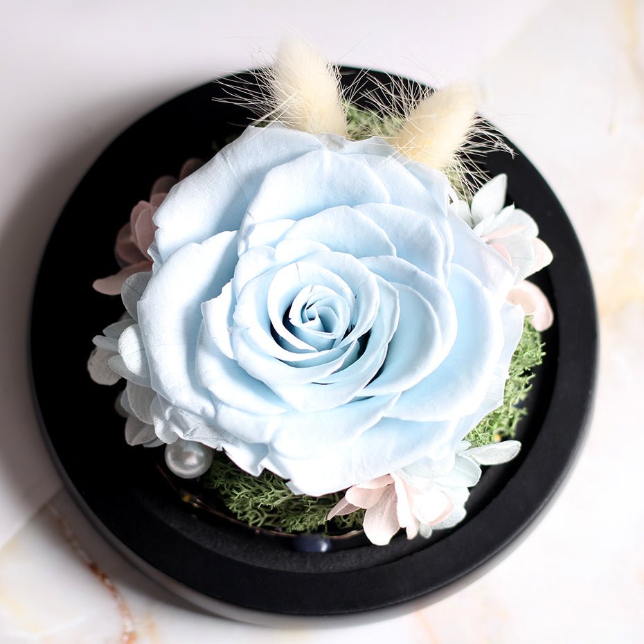 The Beauty and Beast Forever Rose Flower With Night Light in Glass Dome image 2