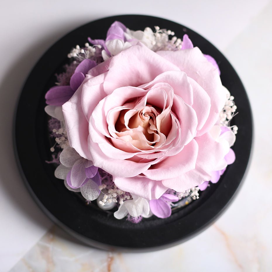 The Beauty and Beast Forever Rose Flower With Night Light in Glass Dome image 21