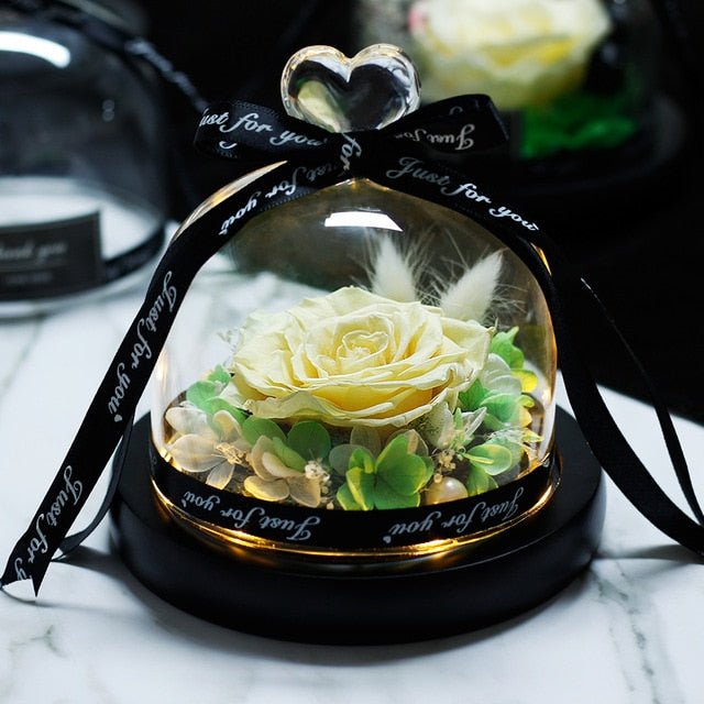 The Beauty and Beast Forever Rose Flower With Night Light in Glass Dome - 015 image
