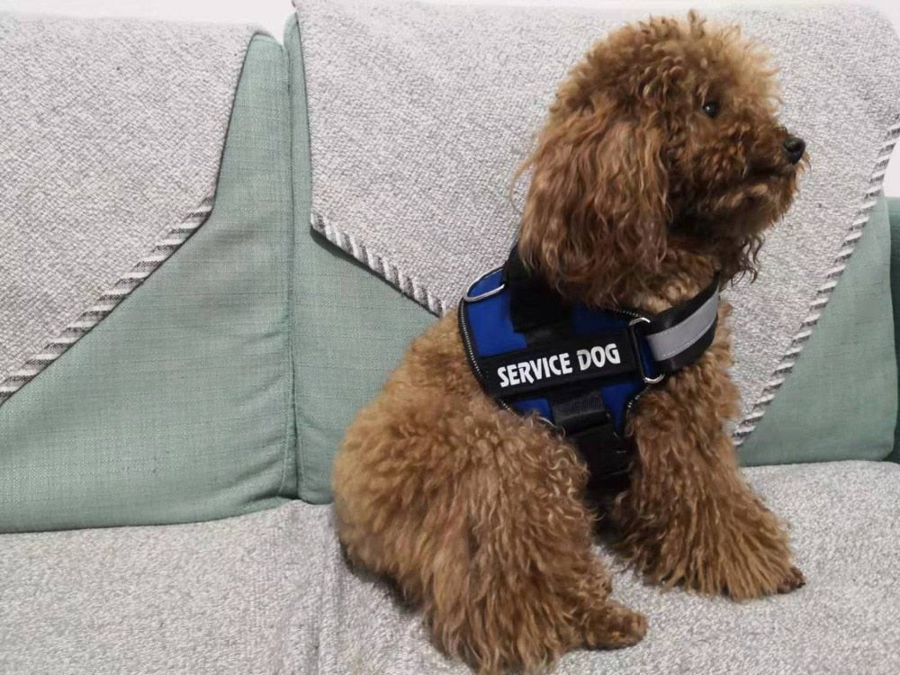 Breathable and Adjustable Reflective Dog Harness image 17