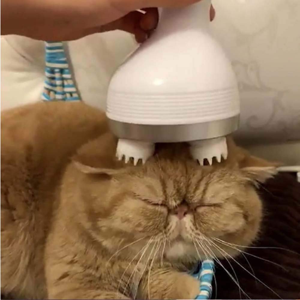 Intelligent Pet Massager image 16