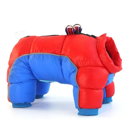 Winter Dog Clothes | Warm Cotton Apparel for Small Dogs - red and blue, S 10 image
