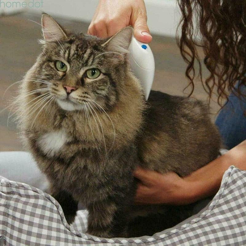Electric Flea Comb For Dogs, Cats and other Pets image 10