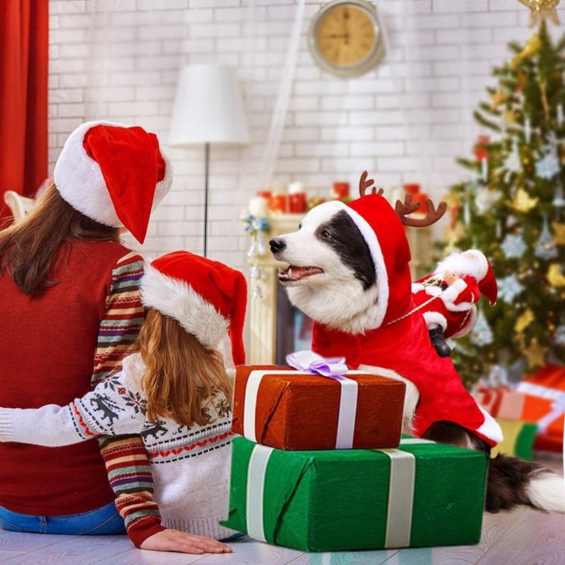 Christmas Dog Santa Cosplay Outfit | Carnival Pet Costumes Apparel image 9