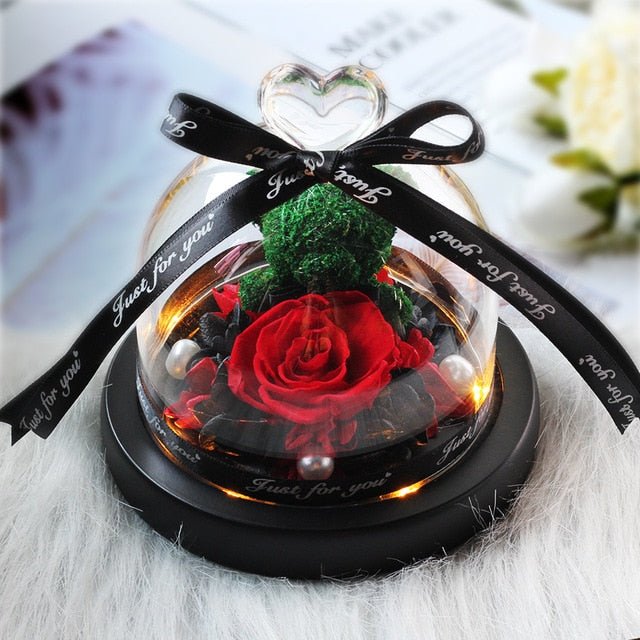 The Beauty and Beast Forever Rose Flower With Night Light in Glass Dome - B24 image