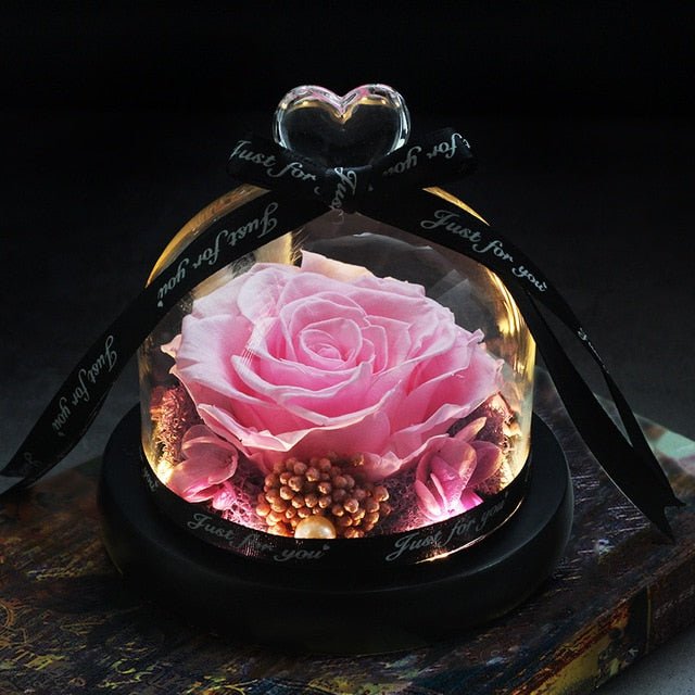 The Beauty and Beast Forever Rose Flower With Night Light in Glass Dome - 20 image