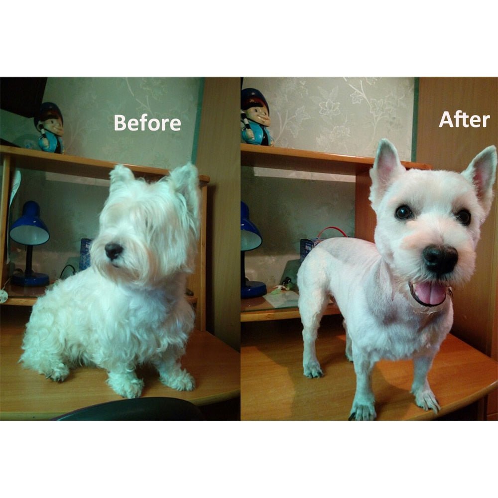 Baorun Professional Dog and Cat Hair Clipper Trimmer image 15