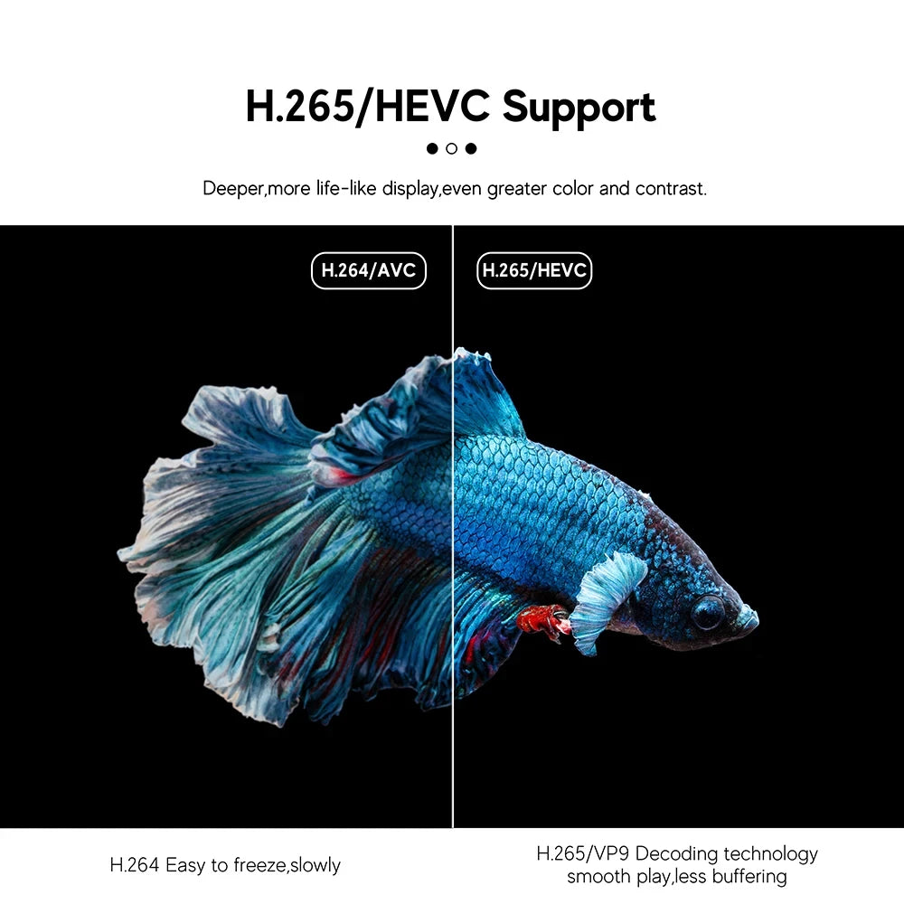 Q6 Android 10 TV Stick HDR Set Top OS 4K 1080P WiFi 6 2.4/5.8G Smart TV Sticks For Google YouTube NETFLIX Network Media Player image 2