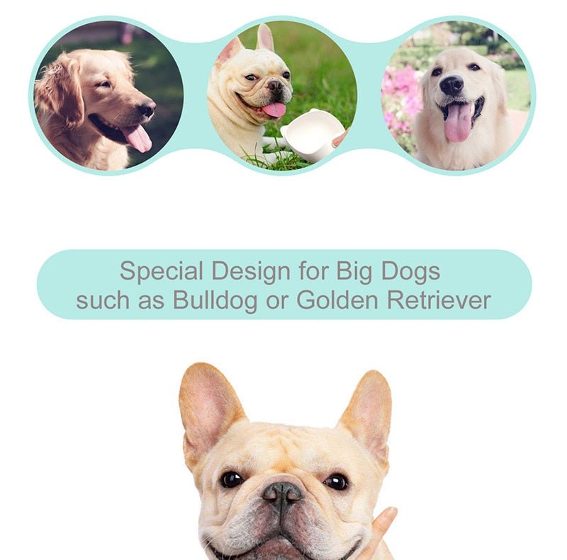 Portable Dog Water Bottle | Puppy Cat Drinking Bowl | Portable Pet Water Bottle image 5