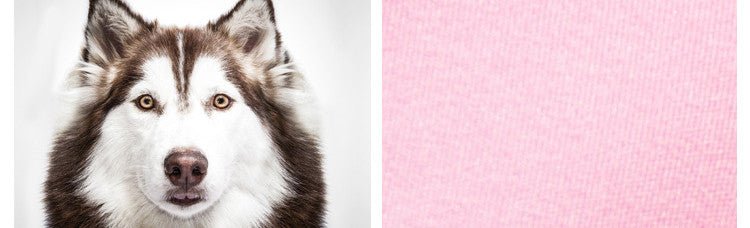 3D Oil Painting Siberian Polyester Duvet Cover image 10