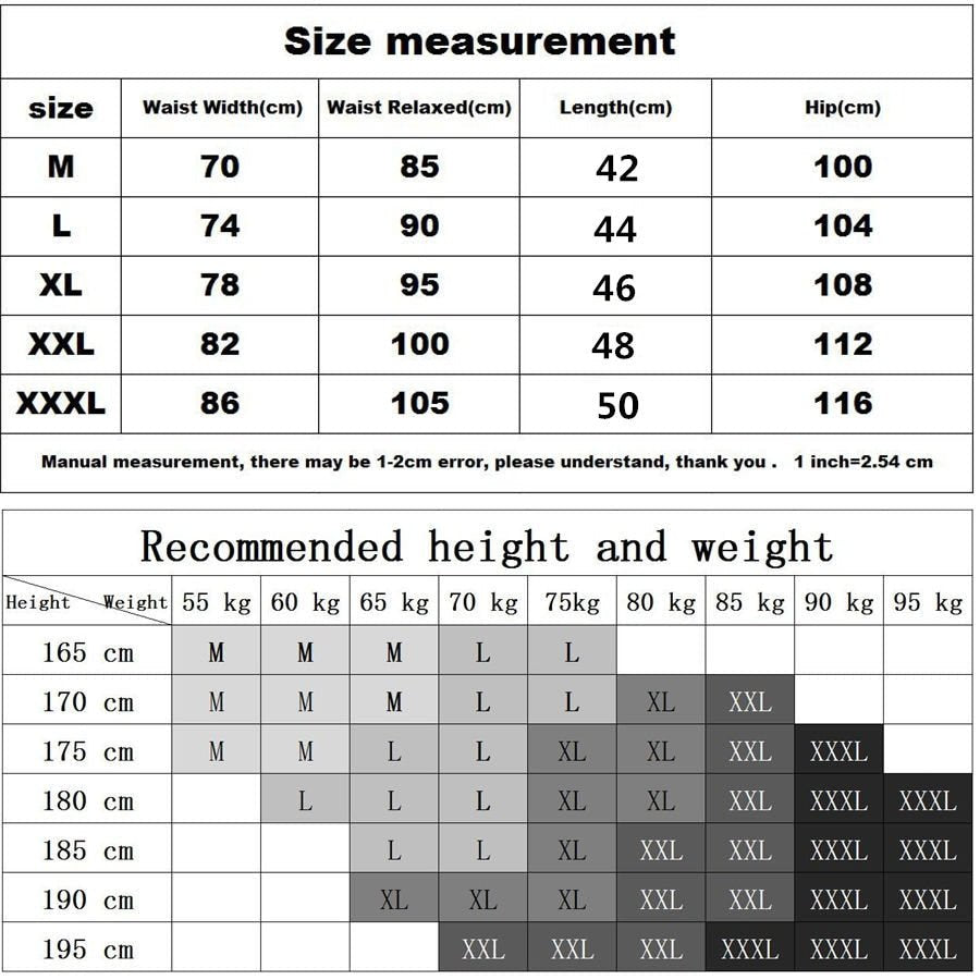 Mens 2 in 1 Running Jogging and Leisure Shorts image 0