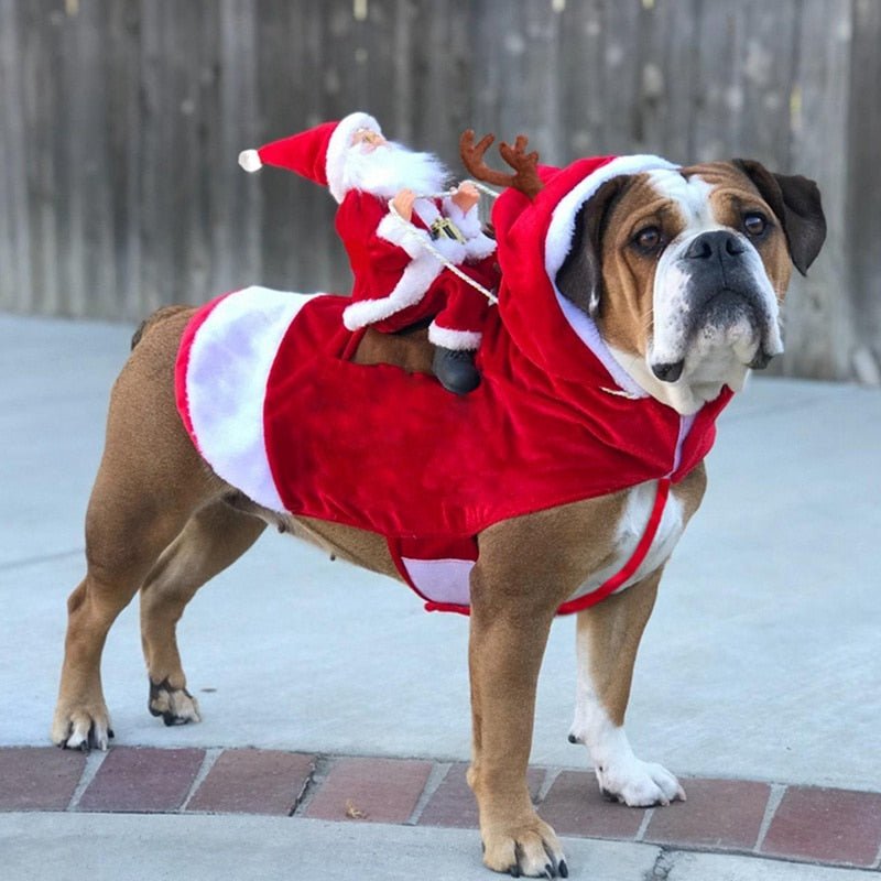 Christmas Dog Santa Cosplay Outfit | Carnival Pet Costumes Apparel image 3
