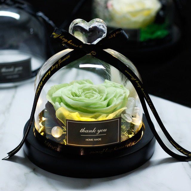 The Beauty and Beast Forever Rose Flower With Night Light in Glass Dome - 013 image